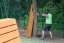 Poukaz na Arrow game