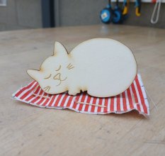 Kočička v pelíšku