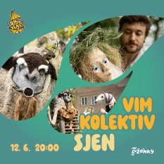 VIM kolektiv / Sjen
